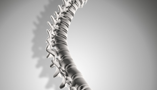 How best to adjust your spine.